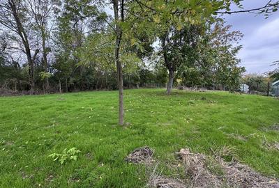 Spațiu comercial, în Bolintin-Deal - 5