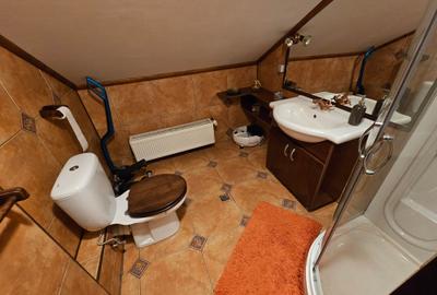 VILĂ SUPERBĂ INDEPENDENTĂ P+1E+M MILITARI CHIAJNA SALCÂMILOR, 260mpu, MOBILATĂ, - 42