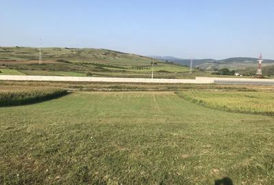 Spațiu comercial, în Turda - 2