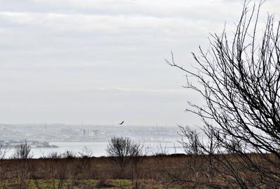 Teren intravilan - 630 mp cu deschidere de 20 ml - 2