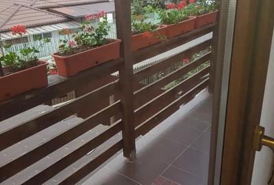 Apartament 2 camera in vila - 2