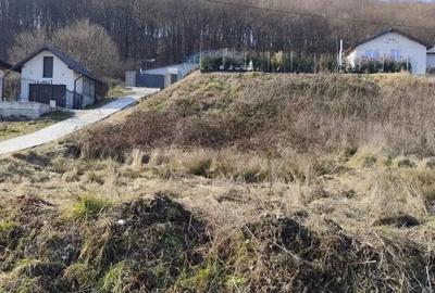 Teren de 694 mp, în Bascov - 4