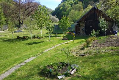 Casă cu 3 camere în Hărțăgani - 2