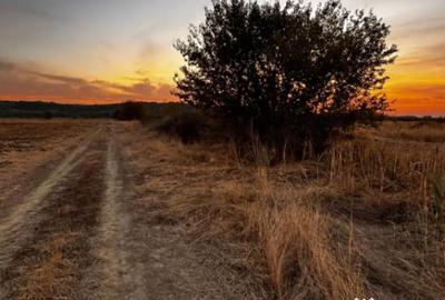 Teren de 5000 mp, în Brestei - 2