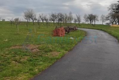 Cabană în zonă montană, Bihor, oportunitate de investiție,Gaminvest, V3155B - 26