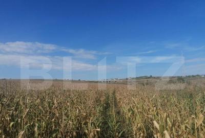 Teren 3000 mp, extravilan, Miroslava - 1