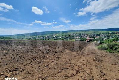 Teren de 500 mp, în Tomești - 3