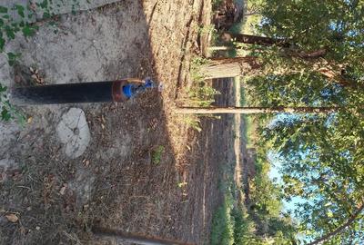 Casă cu 2 camere cu Teren 1918 Mp în Școlilor - 3