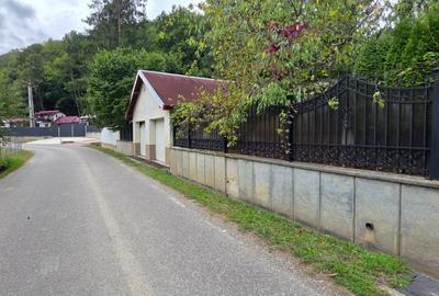 Vila Superba pe Slatina-Luncani - 4