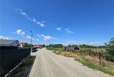 Teren intravilan, 1.600 mp, Serbanesti (LIDL) - 3