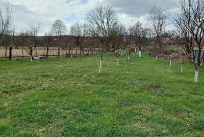 Casă cu 3 camere cu Teren 2158 Mp în Fârdea - 6