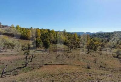 Teren de 7382 mp, în Central - 2