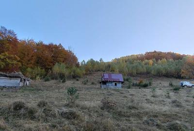 Casă în Blăjeni - 2