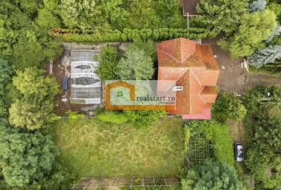 Breaza, Vedere Padure, 5000mp teren, D+P+1E+M, semineu, foisor - 12