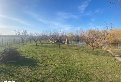 Casă cu 1 camere cu Teren 3035 Mp în Central - 7