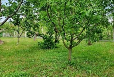 Casa | 9 camere | Garaj | Piscina | Teren 3.000 mp | Comision 0% Casa | 9 camere | Garaj | Piscina | Teren 3.000 mp | Comision 0% - 4