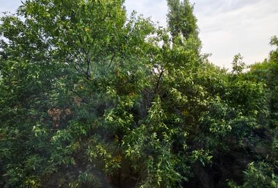 Str Aurului 4 cam, et 3/4, 2 gs, balcon mare, imbunatatiri, Spitalul Pantelimon - 14