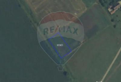 Teren de 921 mp, în Bartolomeu - 7