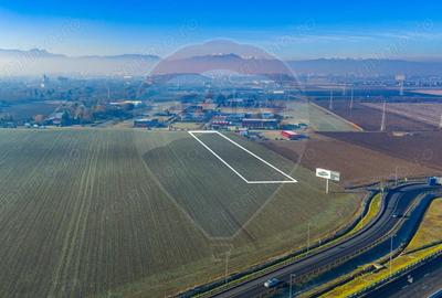 Teren de 4900 mp, în Sânpetru - 6