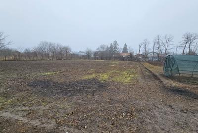 Spațiu comercial, în Costești - 6