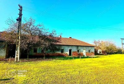 Teren intravilan 71.000mp, Barsa, Renumita Fabrica de caramida si casa 4 camere - 2