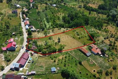 Teren de vanzare in comuna Cicane?ti, sat Bara?ti, jude? Arge?. - 1