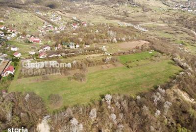 Teren de 23345 mp, în Cornu - 9