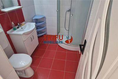 Apartament cu 2 camere decomandat în Cetate - 5