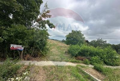 Teren Construcții intravilan de 5800 mp, în Agriș - 2