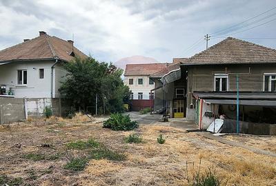 Casa pe un nivel in Medias, teren 533 mp, curte dreapta - 5