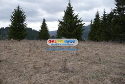 Teren intravilan de 12730 mp, în Central - 3