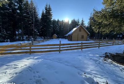 Casă cu Teren 5500 Mp în Sântimbru - 13