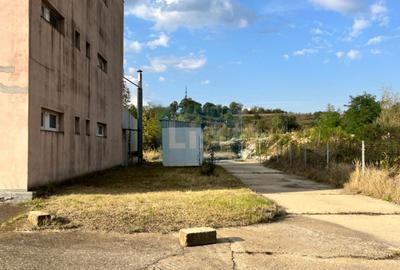 Casă cu 10 camere cu Teren 3883 Mp în Calea Caransebeșului - 6