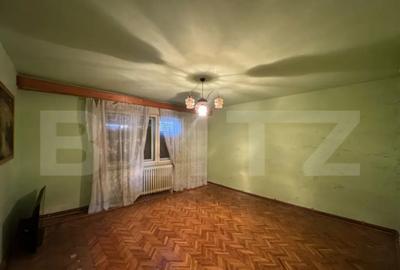 Casă cu 5 camere cu Teren 3000 Mp în Horea - 12