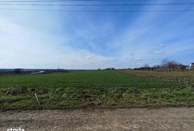 Spațiu comercial, în Valu lui Traian - 5