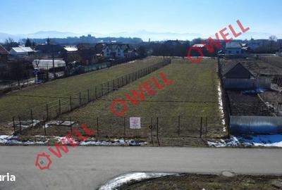 Spațiu comercial, în Lunca Calnicului - 5