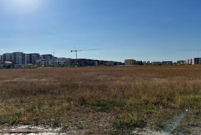 Titan - Policolor- Drum Gura Solcii 3000 mp - 6