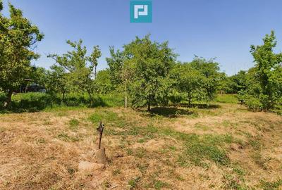 Casa cu 4 camere in Cruceni - 12