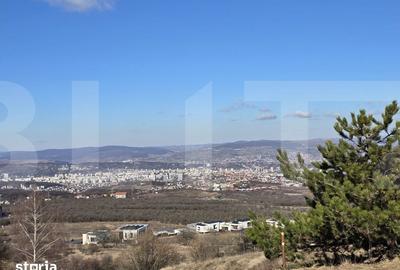 Teren de 4000 mp, în Făget - 12