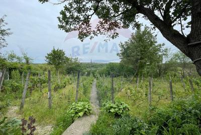 Casă individuală cu 3 camere cu Garaj în Oancea - 24