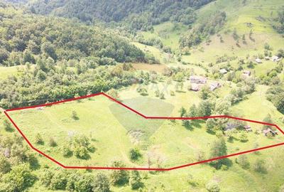 Teren intravilan de vis in Mun?ii Apuseni, curent + izv... - 1