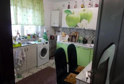 Casă cu 3 camere în Sânandrei