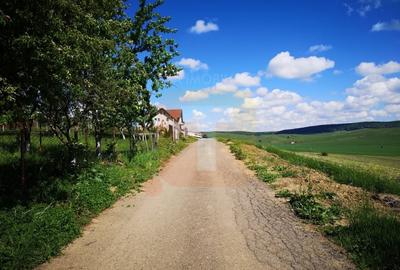 Oportunitate ! Teren intravilan 650 mp, Calea Romanului, Piatra Neamț - 3