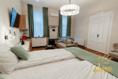 Apartament cu o camera de inchiriat 40mp in zona ultracentrala- Oradea - 4