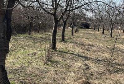 Teren de 4900 mp, în Păulești