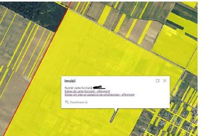 Teren de 4300 mp, în Ciupercenii Noi - 1