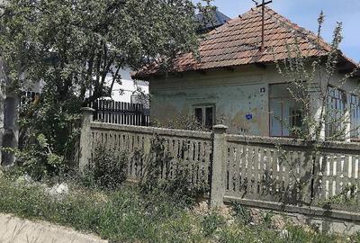 Casă cu Teren 1700 Mp în Pleșoiu - 2