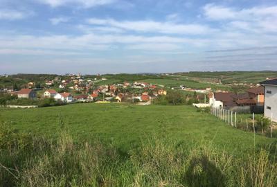 Spațiu comercial, în Oncea - 6