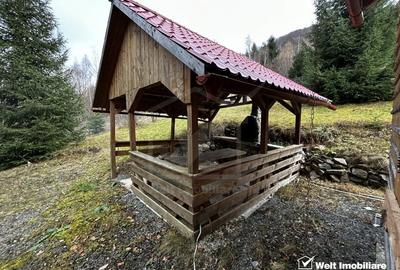 Oportunitate unica! 5ha + 2 cabane de vacanta in Valea Ierii - 10