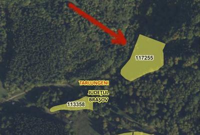 Spațiu comercial, în Dălghiu - 1